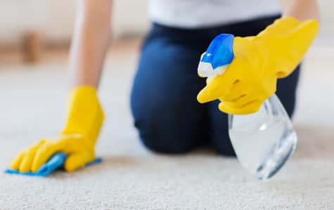 Wet Carpet Drying & Sanitization Melbourne